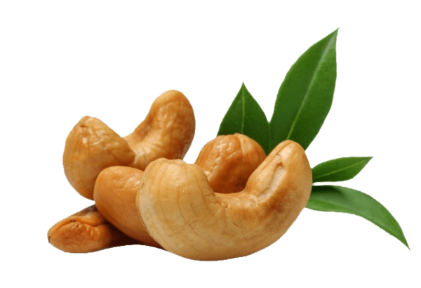 Cashew Nuts Fried ( Kaju Fry )