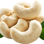 Cashew Nuts ( Kaju )